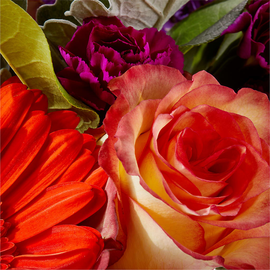 Sangria Bouquet –  Greenbrook Flowers Inc, Jackson MS