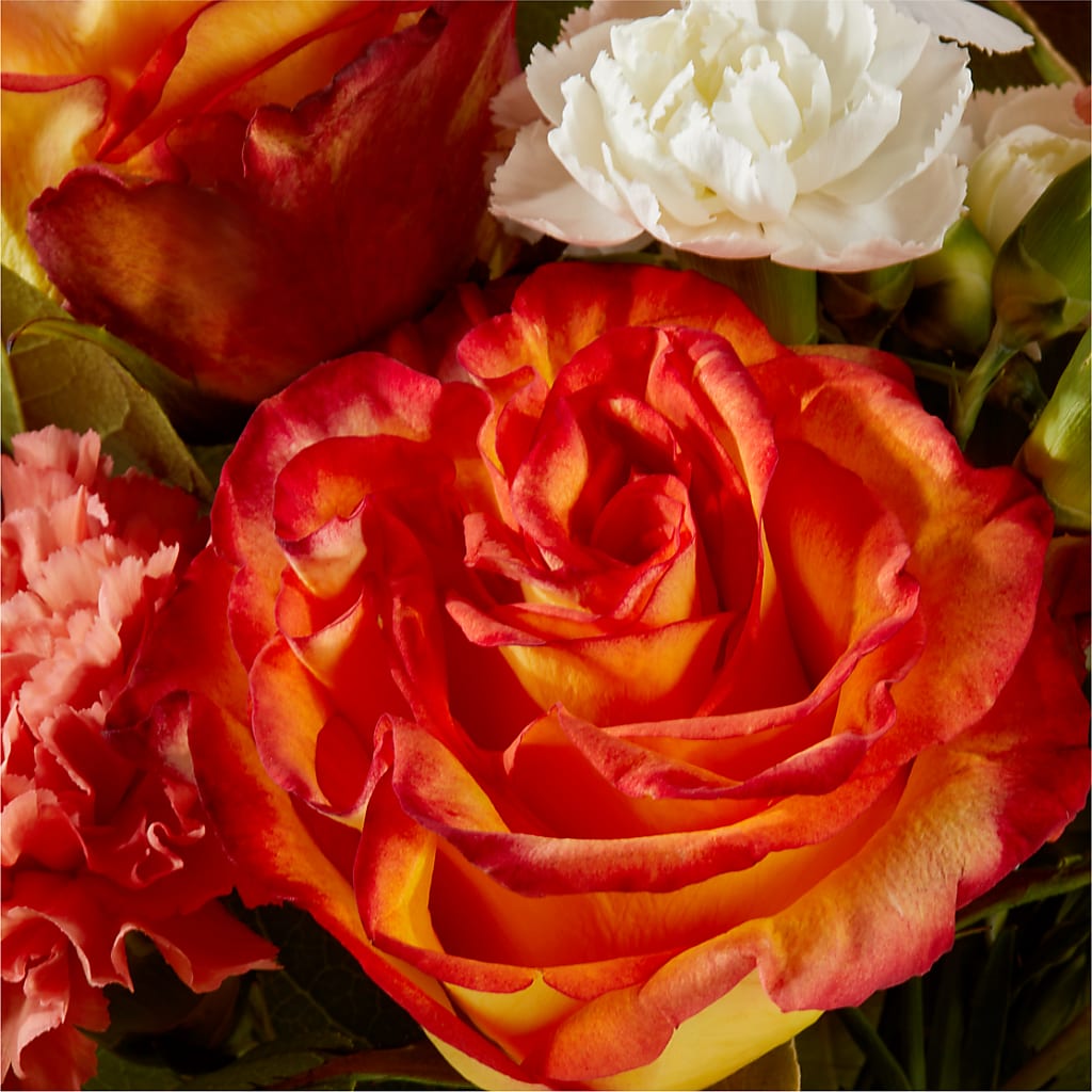 Apricot Glow Bouquet –  Greenbrook Flowers Inc, Jackson MS