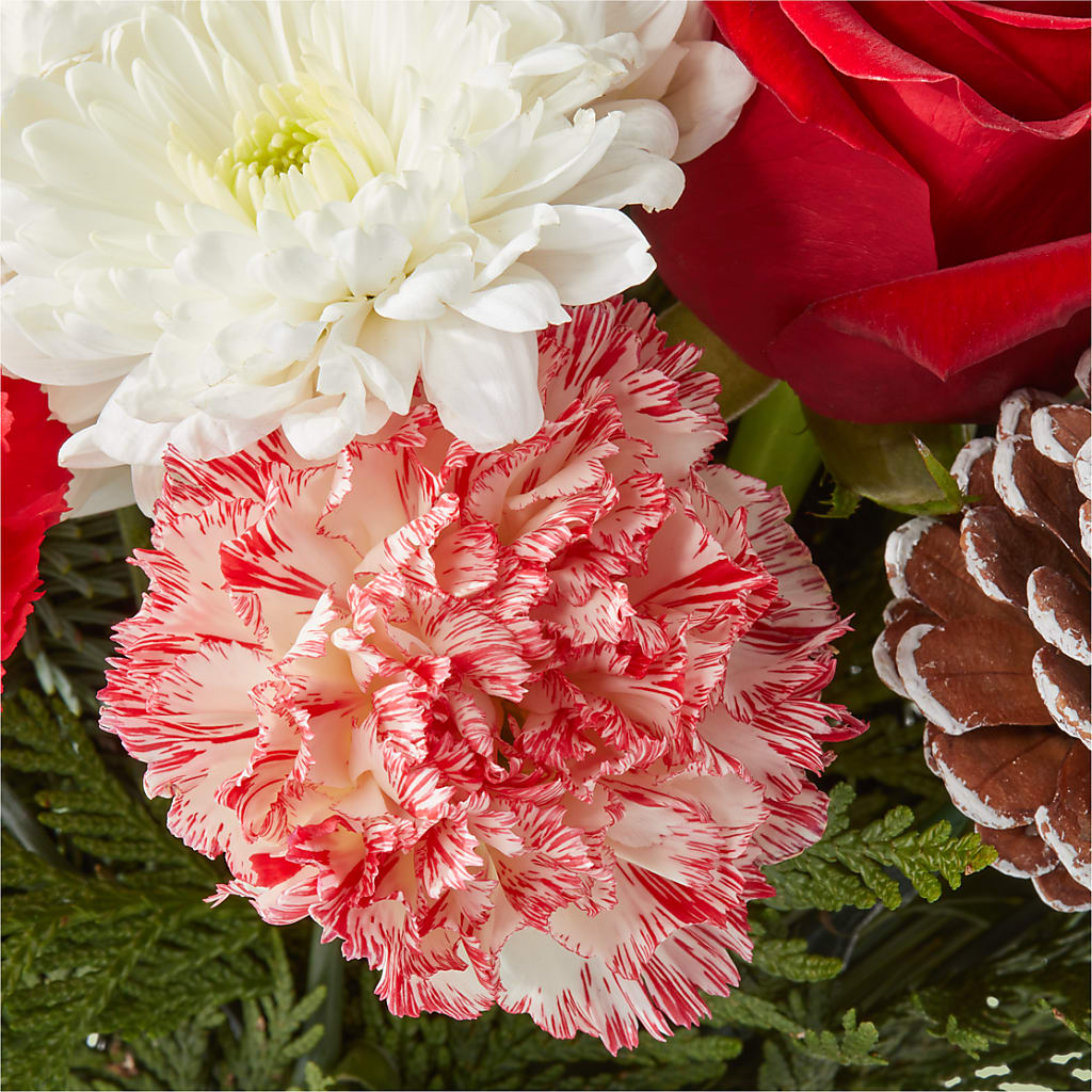 Candy Cane Lane Bouquet –  Greenbrook Flowers Inc, Jackson MS