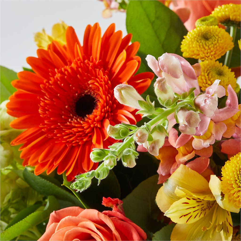 Autumn Sunshine Bouquet –  Greenbrook Flowers Inc, Jackson MS