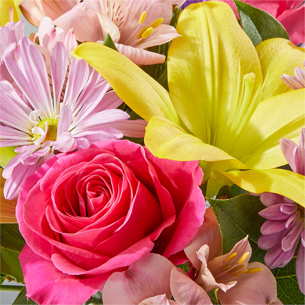 Sprinkles Bouquet –  Greenbrook Flowers Inc, Jackson MS