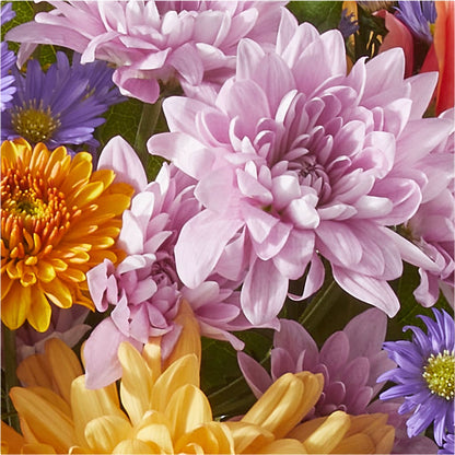 Countryside Bouquet –  Greenbrook Flowers Inc, Jackson MS