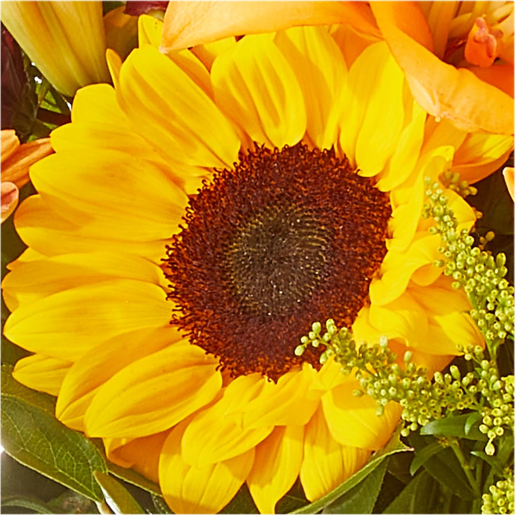 Seasons Change Bouquet –  Greenbrook Flowers Inc, Jackson MS