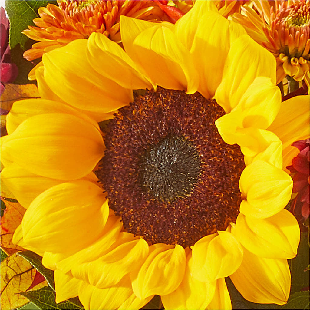 Sunny Side Bouquet –  Greenbrook Flowers Inc, Jackson MS