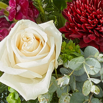 Cranberry Fizz Bouquet –  Greenbrook Flowers Inc, Jackson MS