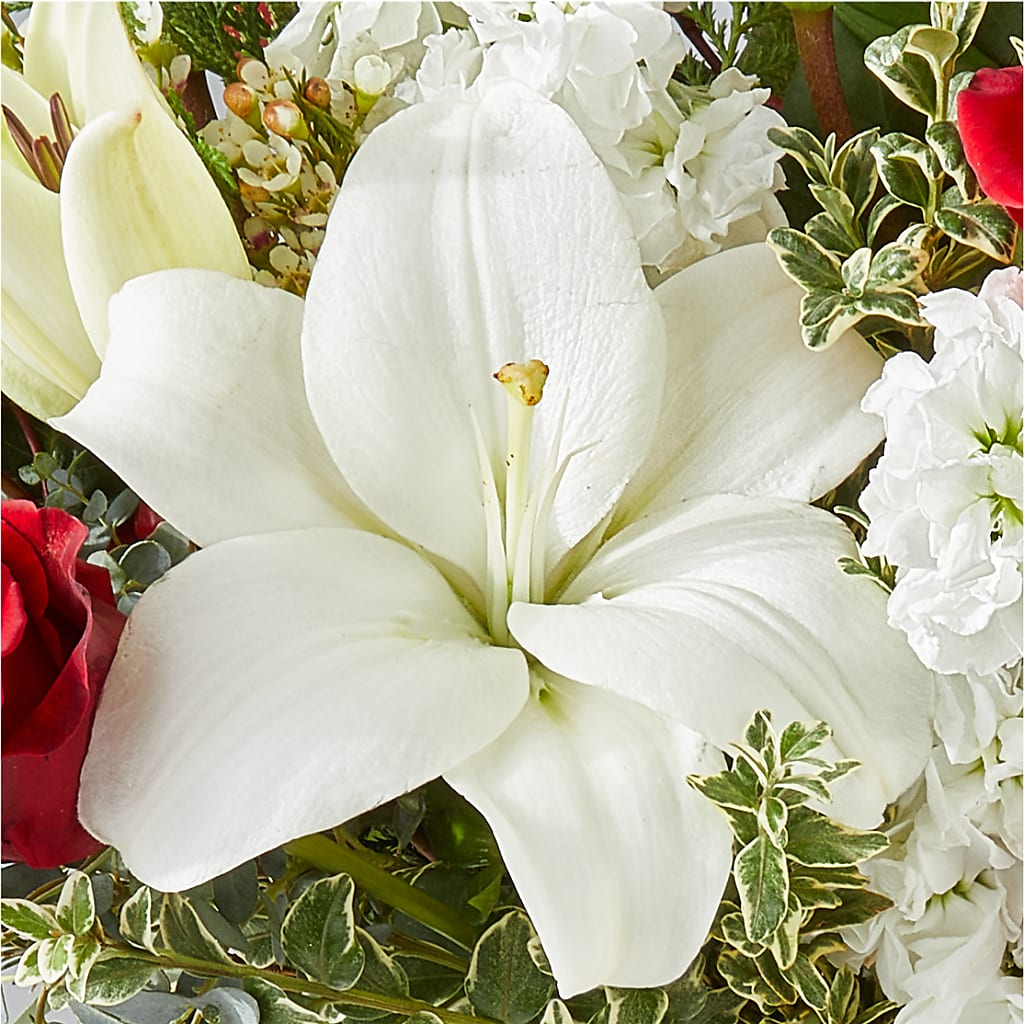 Twinkle Lights Bouquet –  Greenbrook Flowers Inc, Jackson MS
