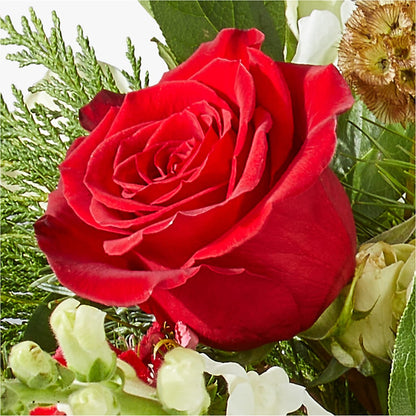 Deck the Halls Bouquet –  Greenbrook Flowers Inc, Jackson MS