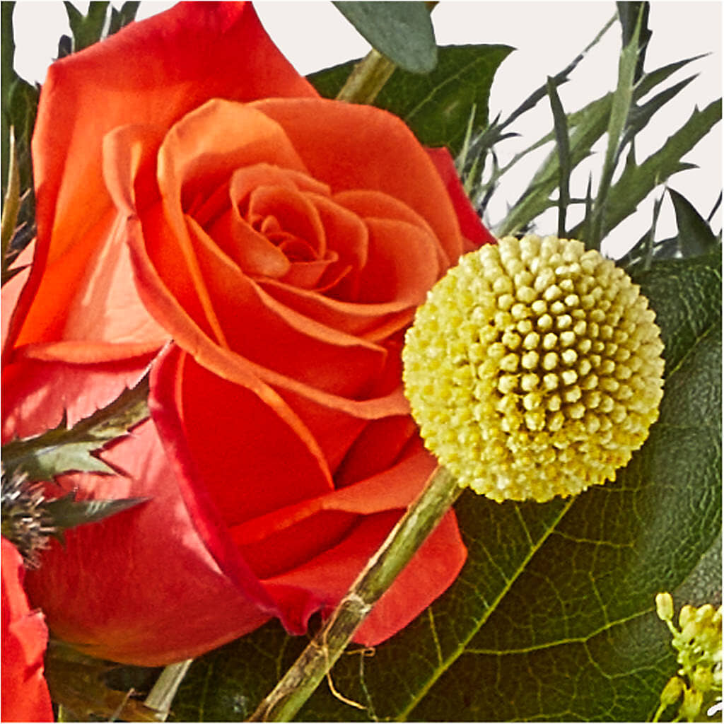 Disco Bouquet –  Greenbrook Flowers Inc, Jackson MS
