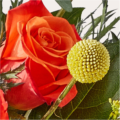 Disco Bouquet –  Greenbrook Flowers Inc, Jackson MS