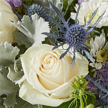 Shooting Star Bouquet –  Greenbrook Flowers Inc, Jackson MS