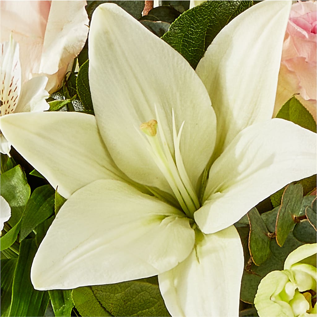Ballet Slippers Bouquet –  Greenbrook Flowers Inc, Jackson MS