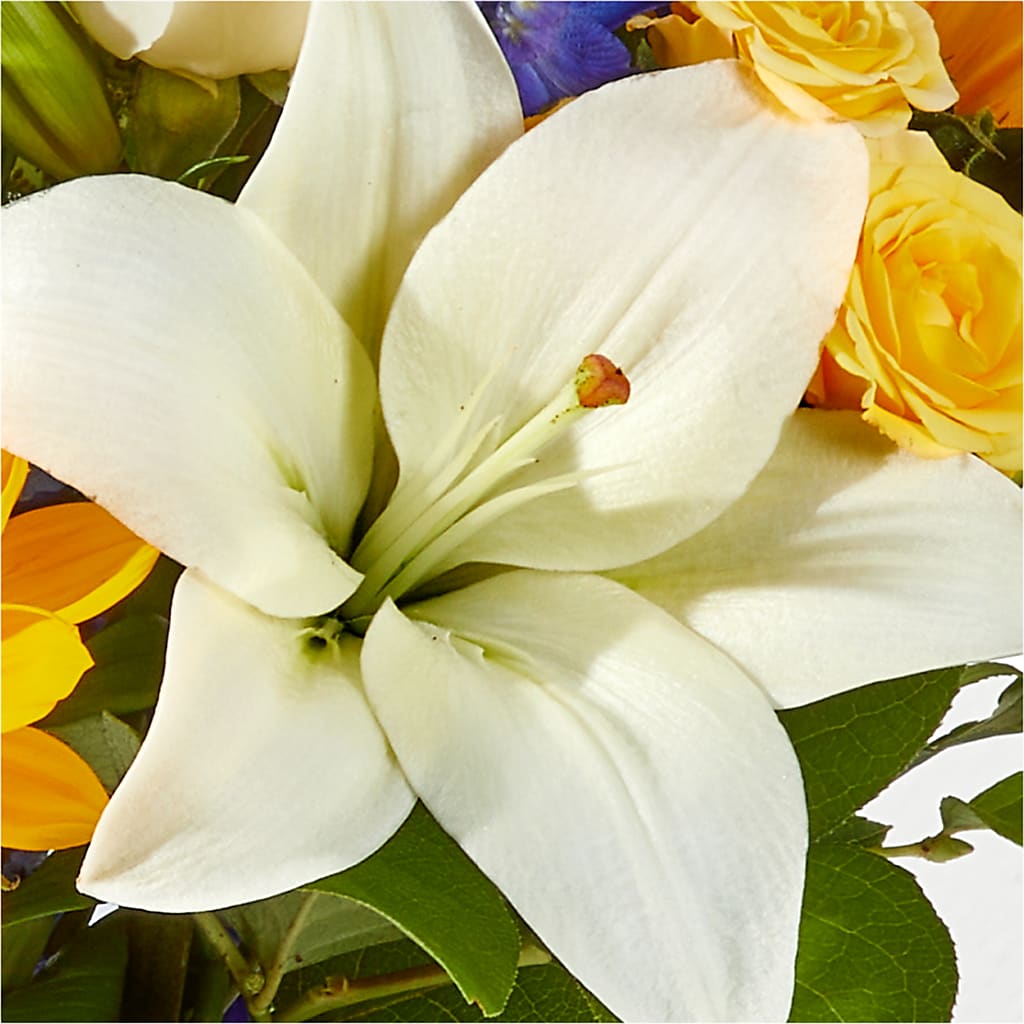 Wonderfully Sunny Bouquet –  Greenbrook Flowers Inc, Jackson MS