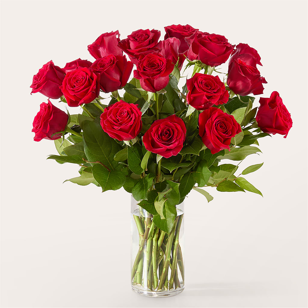 The One Red Rose Bouquet –  Greenbrook Flowers Inc, Jackson MS