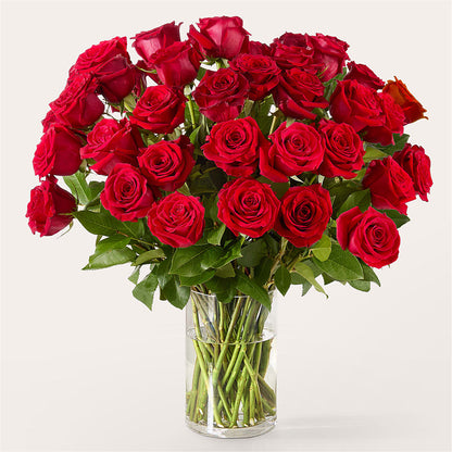The One Red Rose Bouquet –  Greenbrook Flowers Inc, Jackson MS