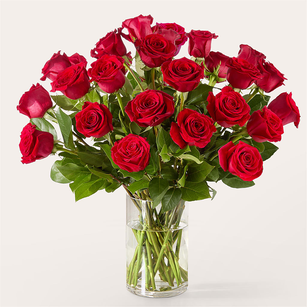 The One Red Rose Bouquet –  Greenbrook Flowers Inc, Jackson MS