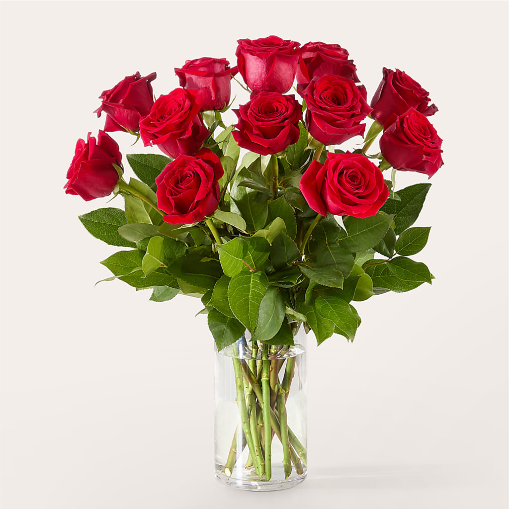 The One Red Rose Bouquet –  Greenbrook Flowers Inc, Jackson MS