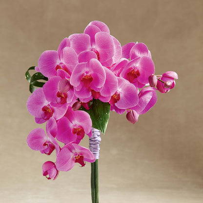 Glorious Bouquet –  Greenbrook Flowers Inc, Jackson MS