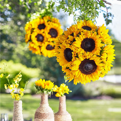 Sublime Garden Hanging Arrangement –  Greenbrook Flowers Inc, Jackson MS