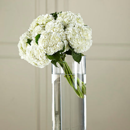White Hydrangea Hand-Tied Bouquet –  Greenbrook Flowers Inc, Jackson MS