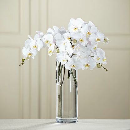 White Phalaenopsis Bouquet –  Greenbrook Flowers Inc, Jackson MS