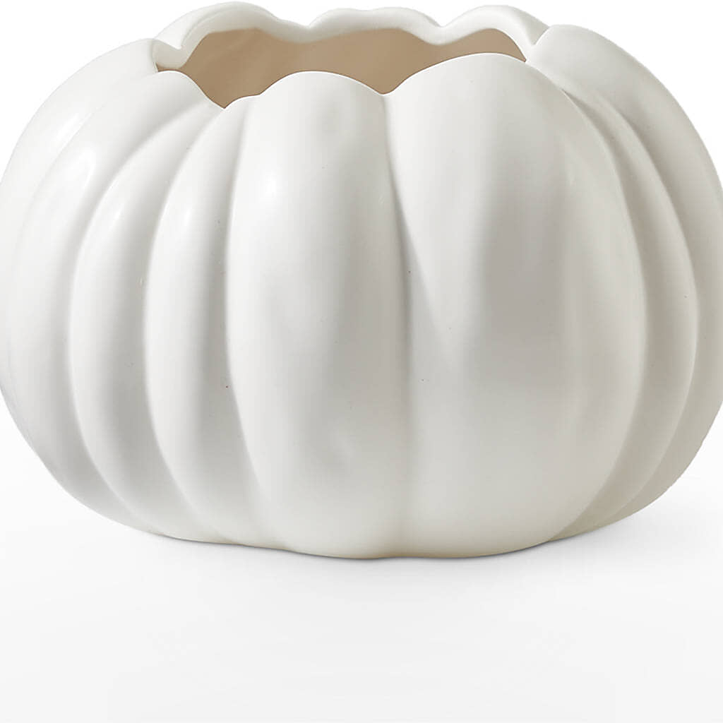 Autumn Air Pumpkin Bouquet –  Greenbrook Flowers Inc, Jackson MS